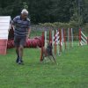 agility 2011-09